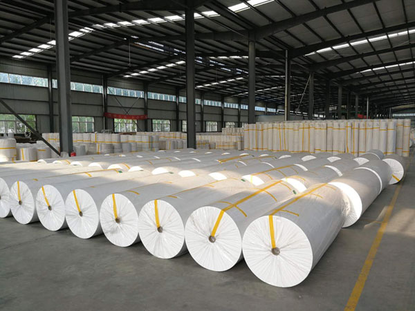 华南热作学院狭缝式涤纶纺粘无纺布